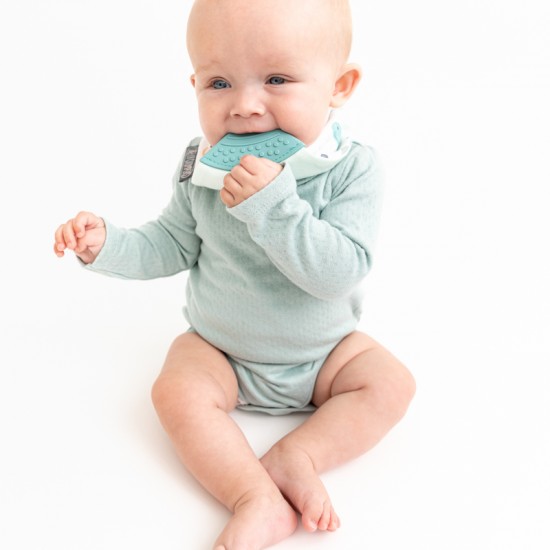Cheeky Chompers Neckerchew Premium podbradnjak s grickalicom – Cheeky ZOO