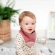 Cheeky Chompers Neckerchew Premium podbradnjak s grickalicom - Rainbow Rose