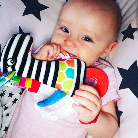 Mom's mekana igračka Zebra sa zagrizom 